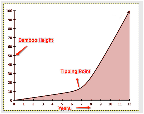 Point mass