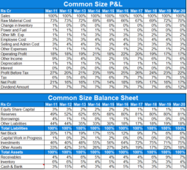 Common Size Analysis - Safal Niveshak Stock Analysis Spreadsheet